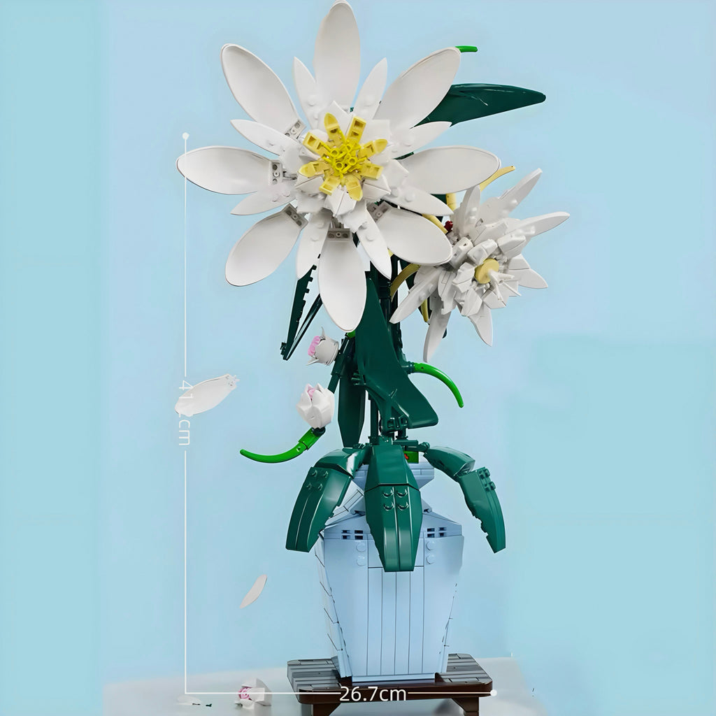 Epiphyllum | 568 Stück
