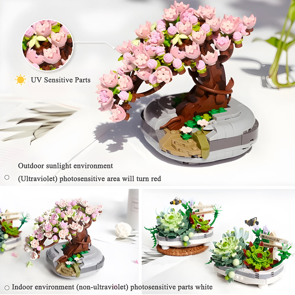 Bonsai | 425 Stück