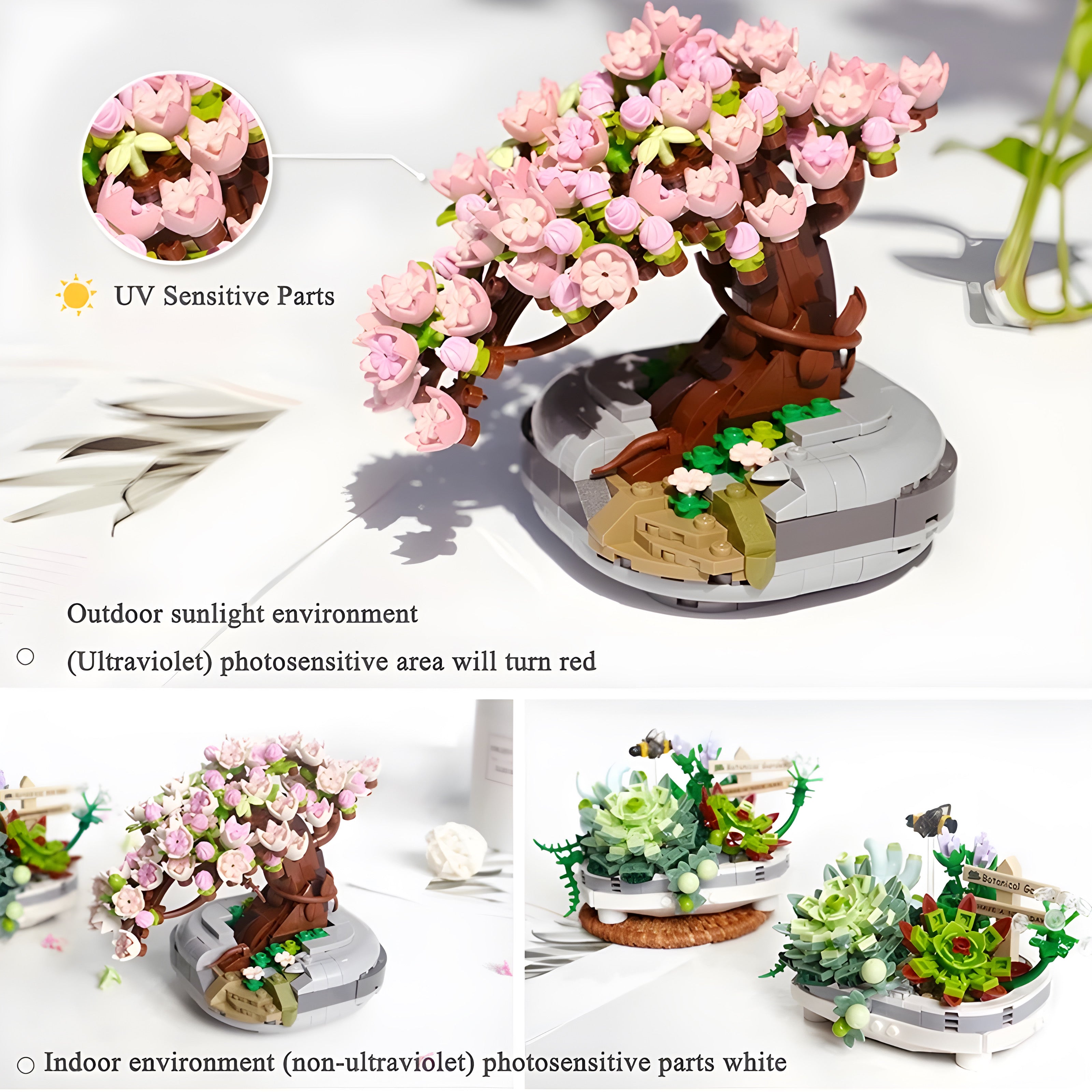 Bonsai | 425 Stück