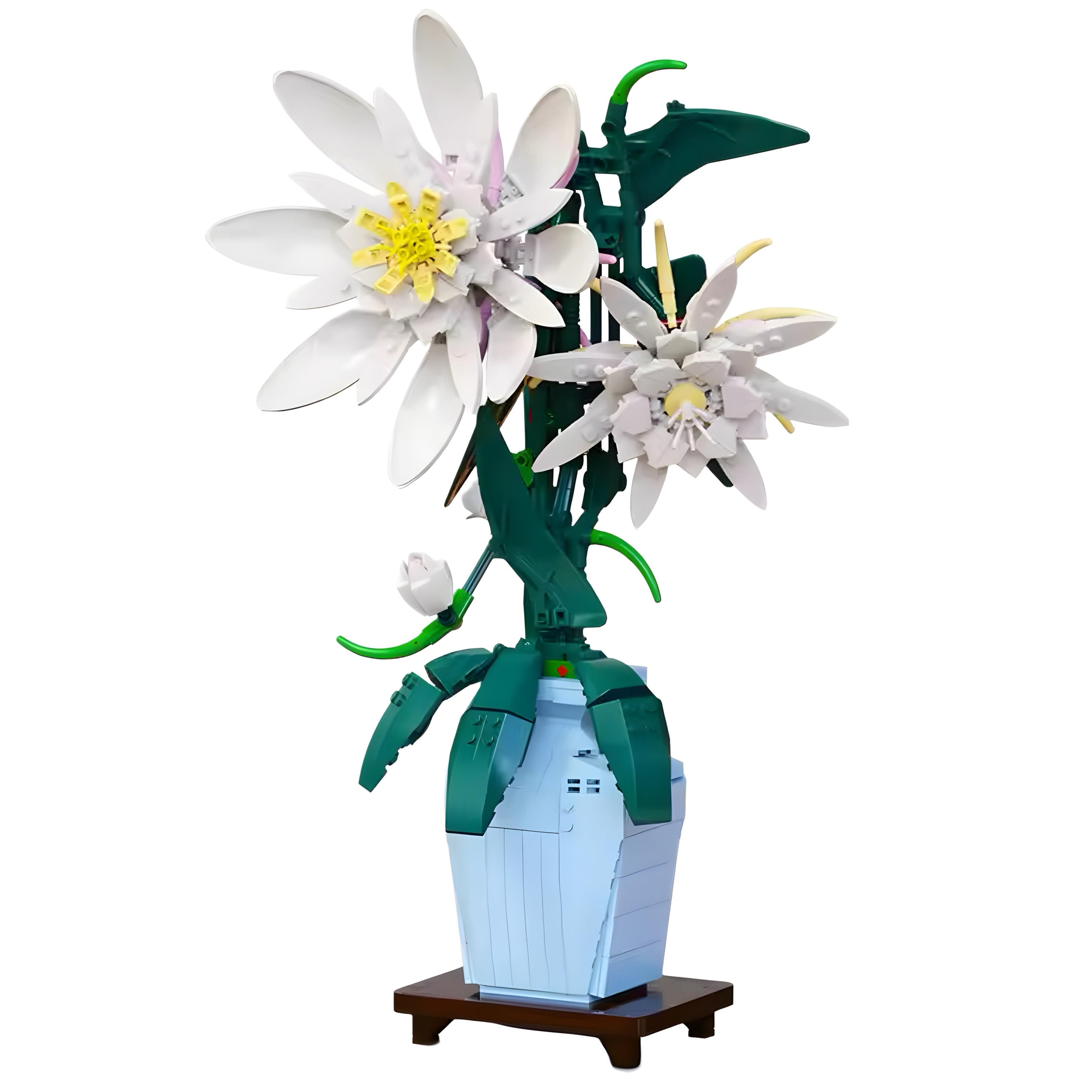 Epiphyllum | 568 Stück