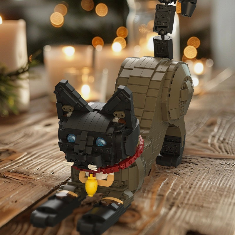 Siamkatze | 1120 Stück